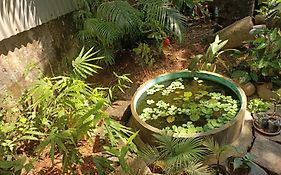 Adams Wood House Ayurveda Homestay Kochi